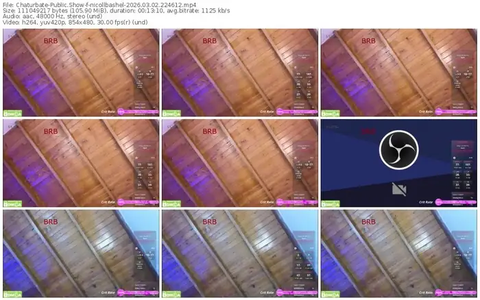 2026/03/02/chaturbate-nicollbashel-22-46-12