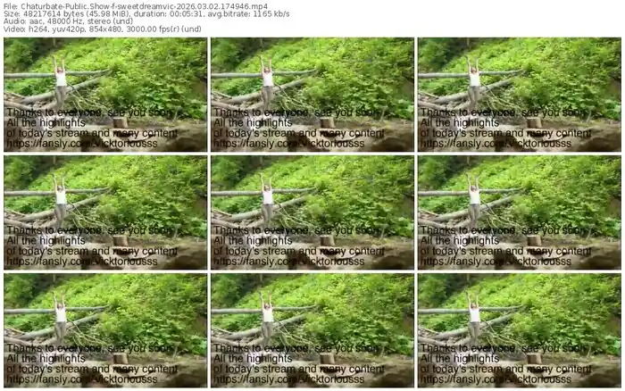 2026/03/02/chaturbate-sweetdreamvic-17-49-46