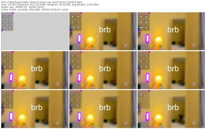 2026/03/02/chaturbate-vonen_ray-12-02-09