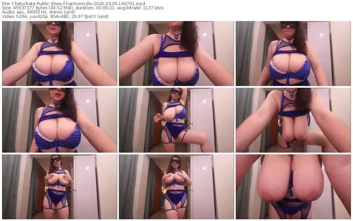 2026/03/05/chaturbate-harmonicdiv-19-07-01