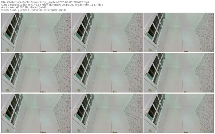 2026/03/06/chaturbate-kitty__sophie-20-54-32