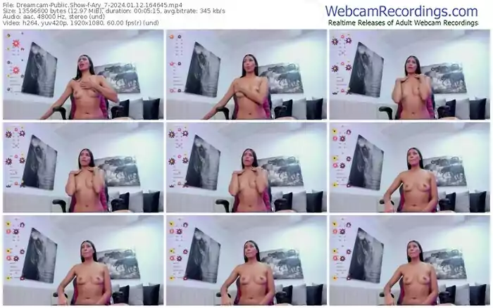 2024/01/12/dreamcam-ary_7-16-46-45