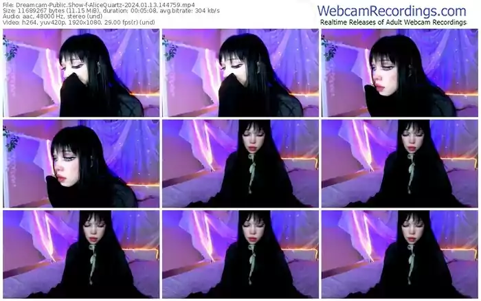2024/01/13/dreamcam-alicequartz-14-47-59