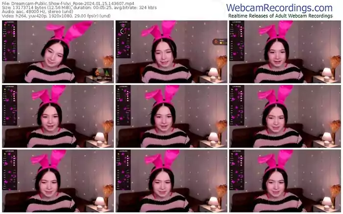 2024/01/15/dreamcam-vivi_rose-14-36-07