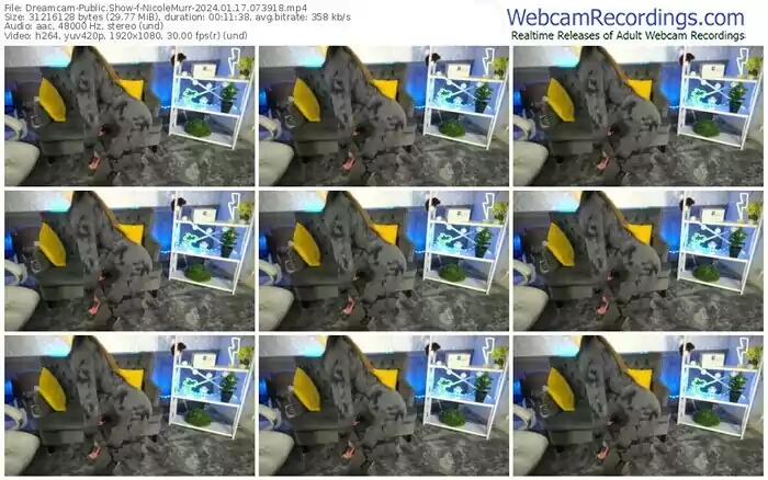 2024/01/17/dreamcam-nicolemurr-07-39-18