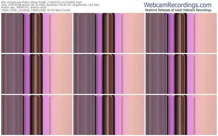 2024/01/19/dreamcam-sofii_7-15-36-42