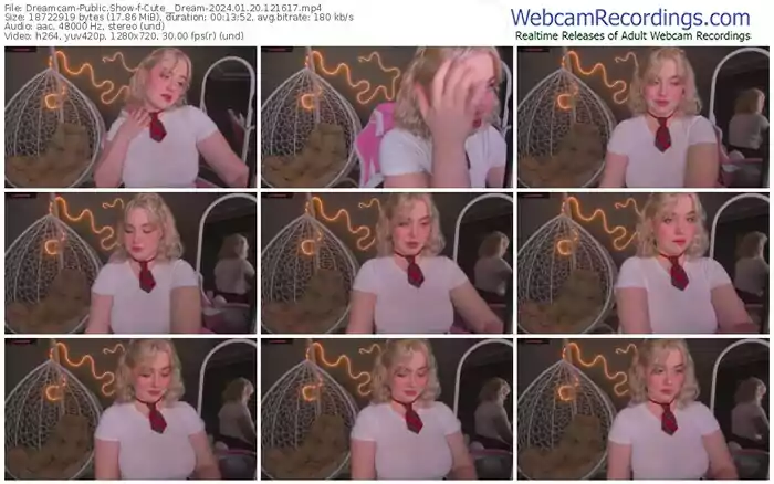 2024/01/20/dreamcam-cute__dream-12-16-17