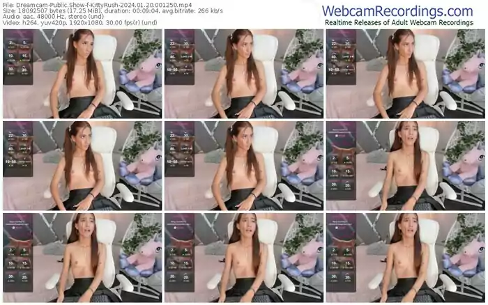 2024/01/20/dreamcam-kittyrush-00-12-50