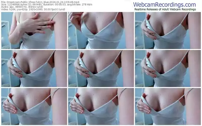 2024/01/24/dreamcam-arin_blue-10-31-48