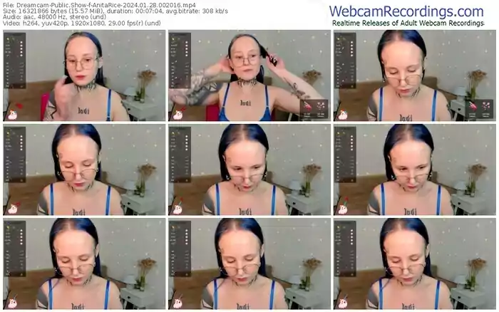 2024/01/28/dreamcam-anitarice-00-20-16