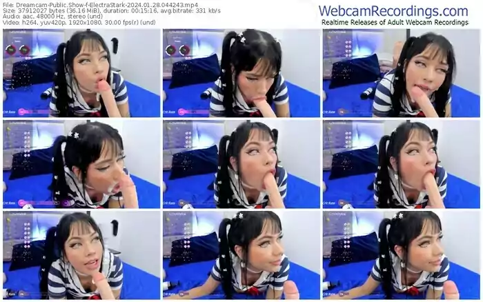 2024/01/28/dreamcam-electrastark-04-42-43