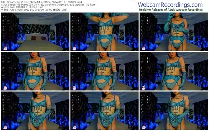 2024/02/10/dreamcam-anitarice-13-58-13