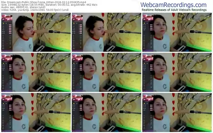 2024/02/12/dreamcam-jona_kitten-05-04-35