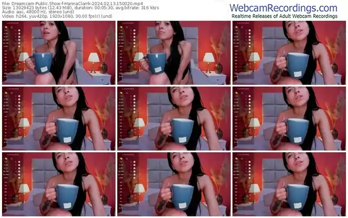 2024/02/13/dreamcam-hannaclarrk-15-00-20