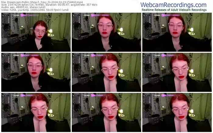 2024/02/23/dreamcam-_foxy_di-15-44-00