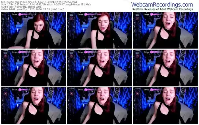 2024/02/25/dreamcam-_foxy_di-18-50-52