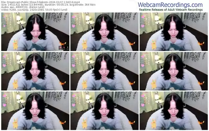 2024/03/07/dreamcam-nekomi-13-42-16