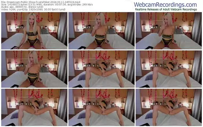 2024/03/11/dreamcam-leilatoker-04-55-24