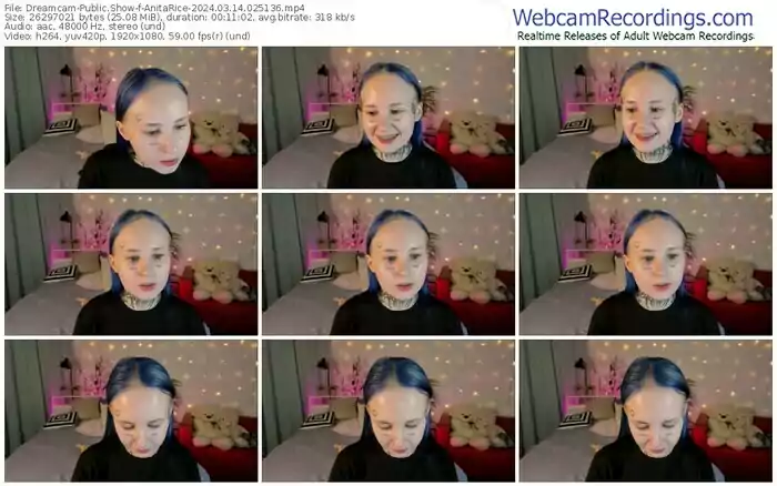 2024/03/14/dreamcam-anitarice-02-51-36