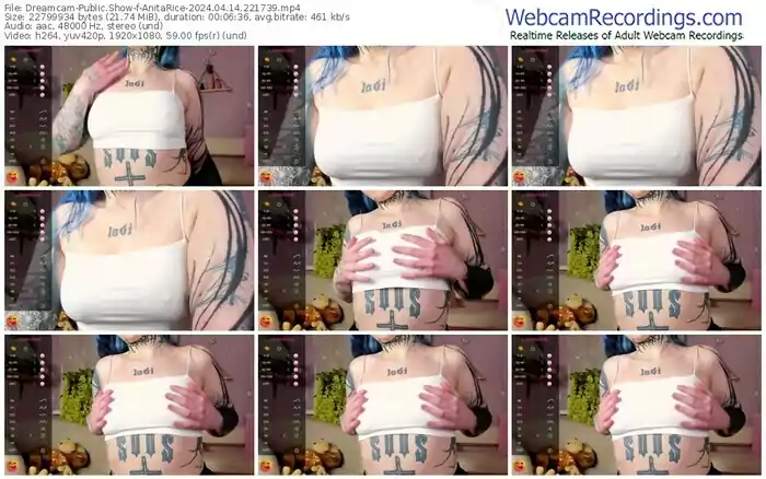 2024/04/14/dreamcam-anitarice-22-17-39
