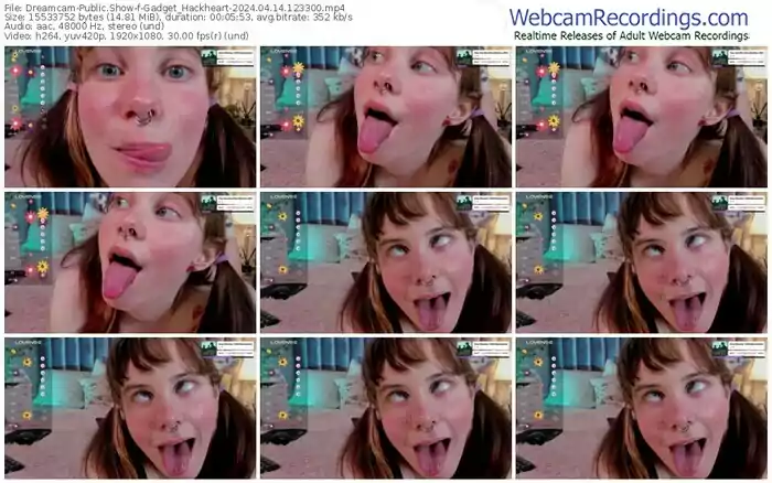 2024/04/14/dreamcam-gadget_hackheart-12-33-00