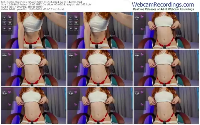 2024/04/20/dreamcam-sally_biscuit-14-43-30