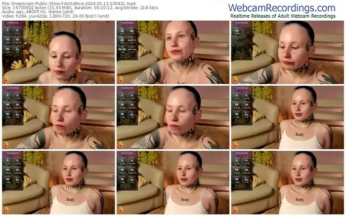 2024/05/13/dreamcam-anitarice-03-58-21