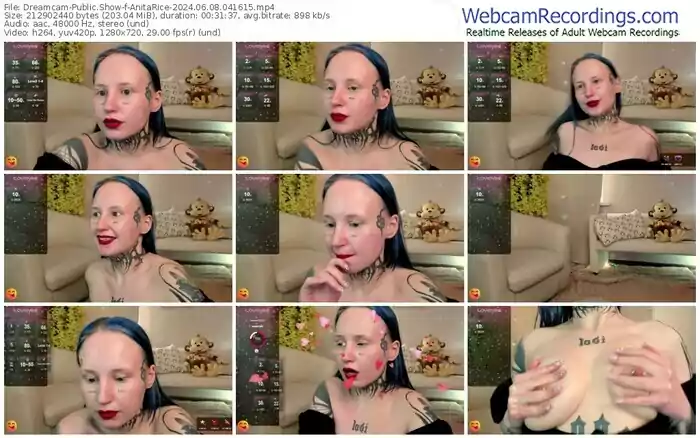2024/06/08/dreamcam-anitarice-04-16-15