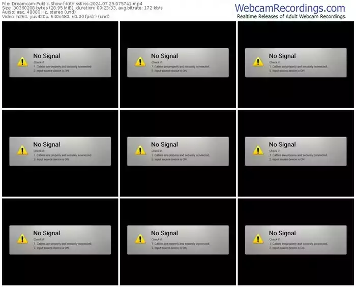 2024/07/29/dreamcam-kitnisskiss-07-57-41