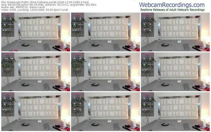 2024/12/04/dreamcam-alhana_pulido-22-46-12