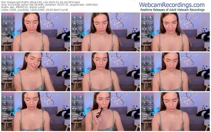 2025/01/26/dreamcam-eli_llie-16-19-03