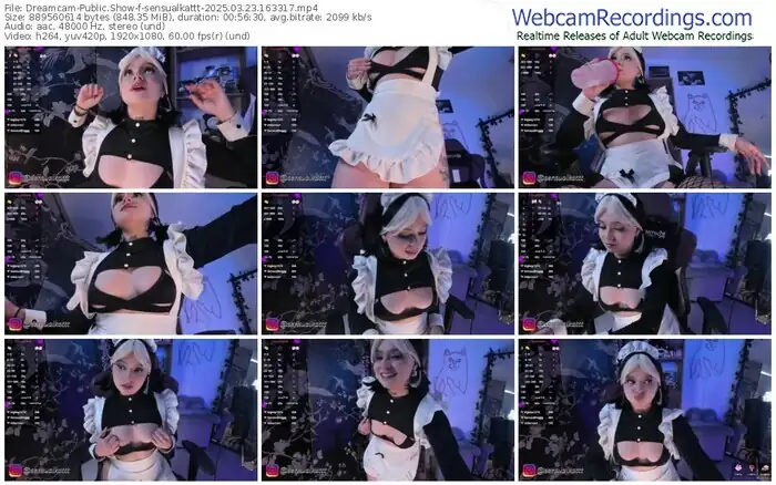2025/03/23/dreamcam-sensualkattt-16-33-17