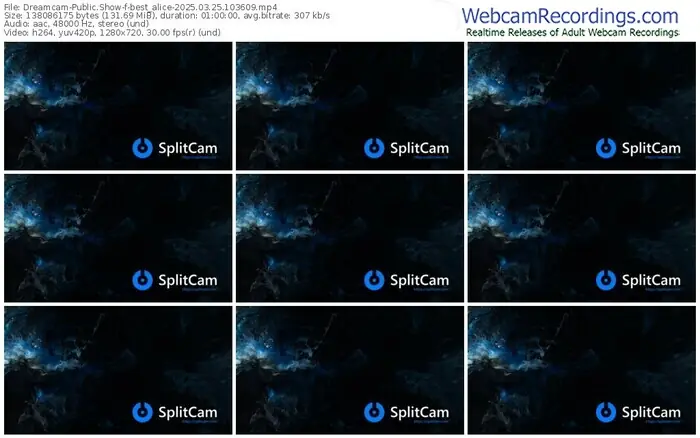 2025/03/25/dreamcam-best_alice-10-36-09