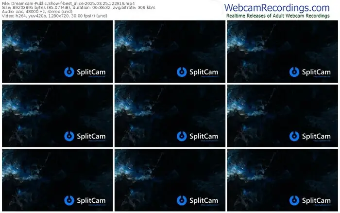 2025/03/25/dreamcam-best_alice-12-29-19