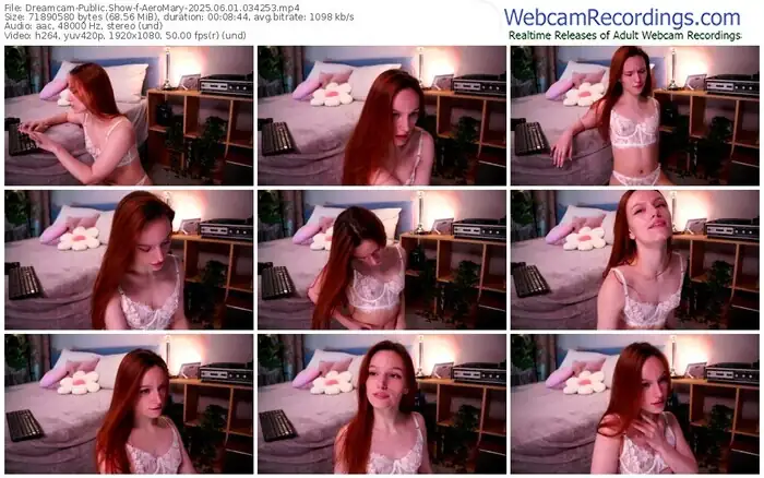 2025/06/01/dreamcam-aeromary-03-42-53
