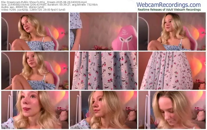 2025/08/26/dreamcam-little__dream-04-30-09