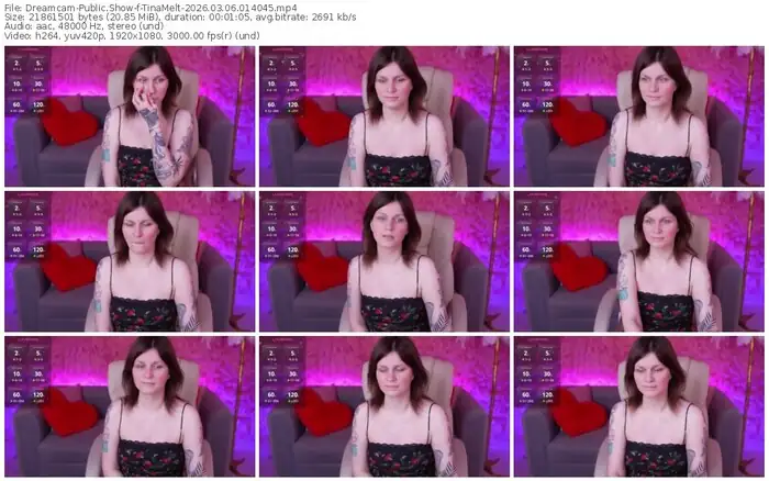 2026/03/06/dreamcam-tinamelt-01-40-45