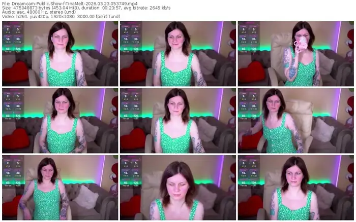 2026/03/23/dreamcam-tinamelt-05-37-49