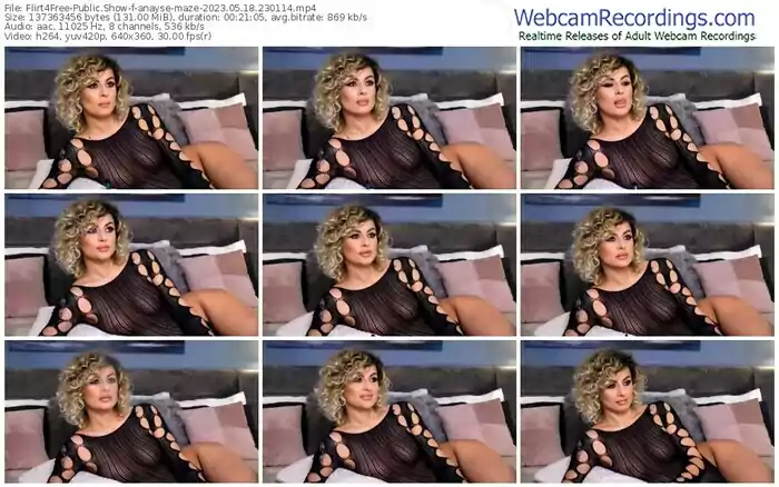 2023/05/18/flirt4free-anayse-maze-23-01-14