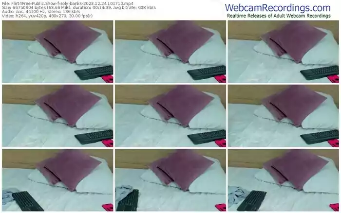 2023/12/24/flirt4free-sofy-banks-10-17-10