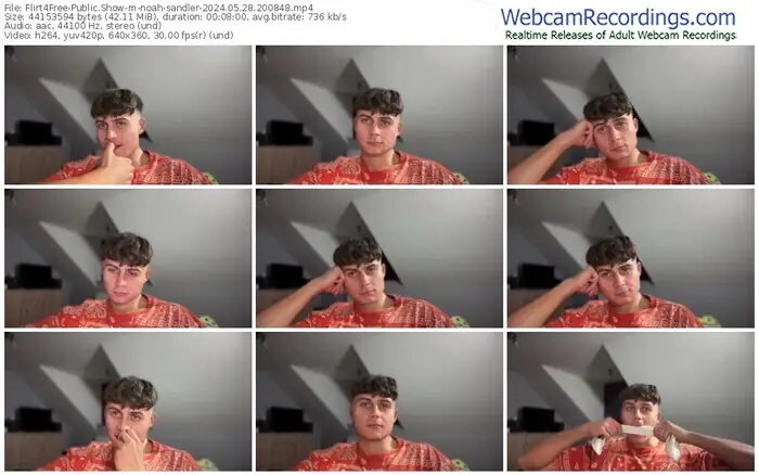 2024/05/28/flirt4free-noah-sandler-20-08-48