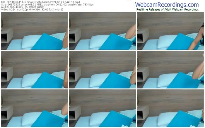 2024/05/29/flirt4free-sofy-banks-04-41-38