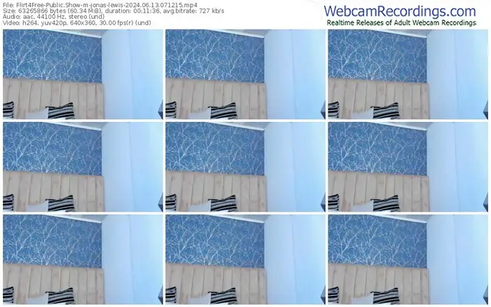 2024/06/13/flirt4free-jonas-lewis-07-12-15