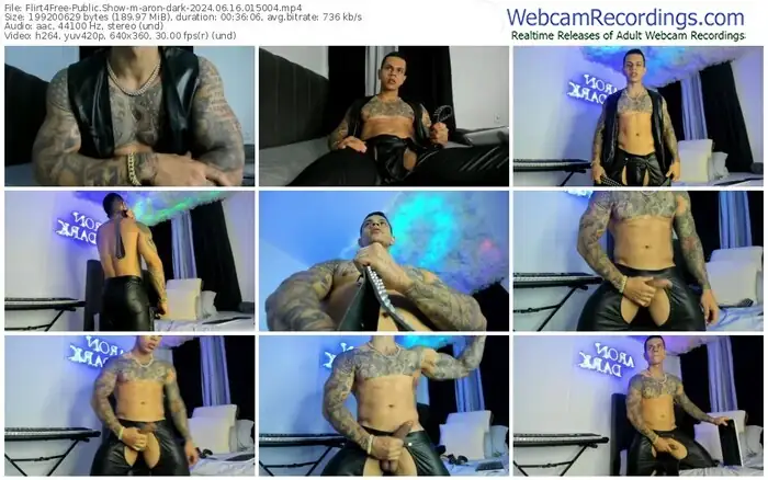 2024/06/16/flirt4free-aron-dark-01-50-04