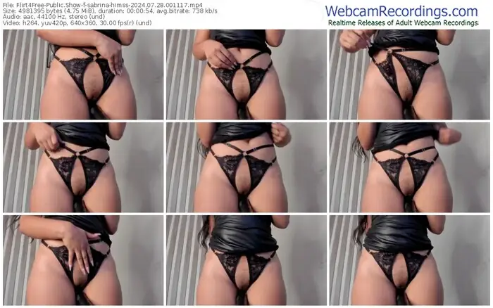 2024/07/28/flirt4free-sabrina-himss-00-11-17