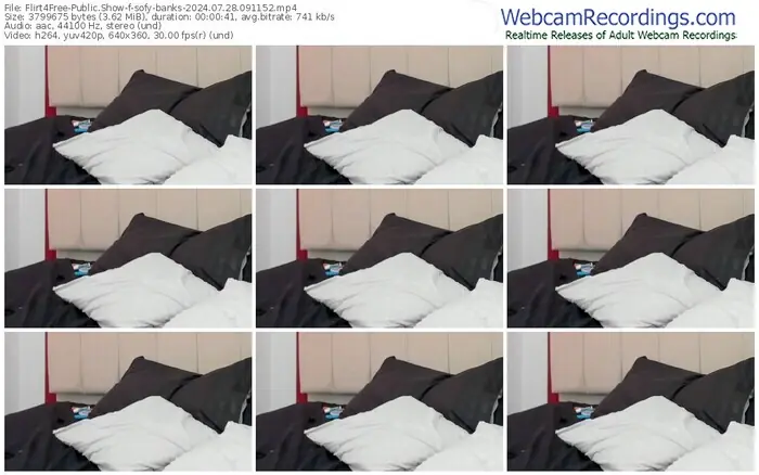 2024/07/28/flirt4free-sofy-banks-09-11-52