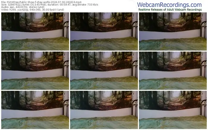 2024/07/30/flirt4free-shay-wolfe-18-18-16