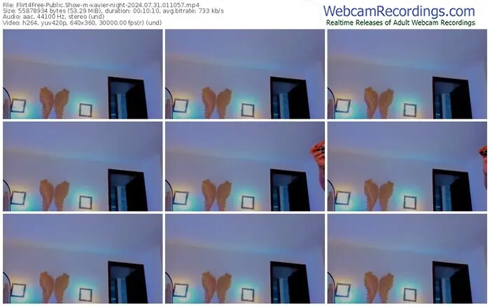 2024/07/31/flirt4free-xavier-night-01-10-57