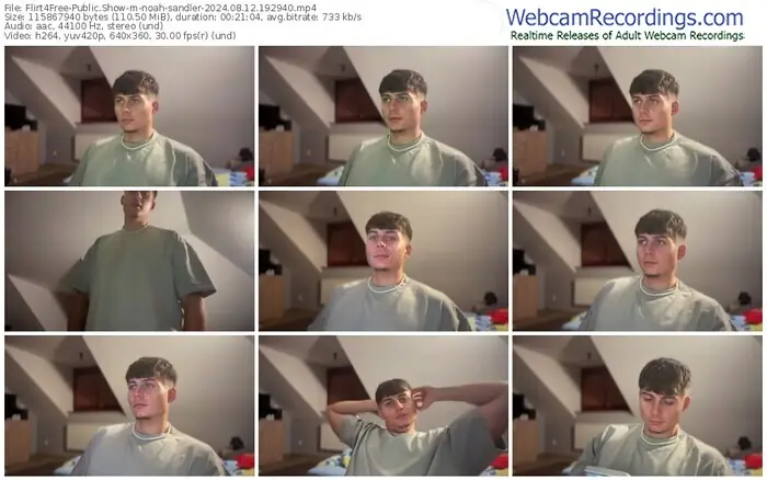 2024/08/12/flirt4free-noah-sandler-19-29-40