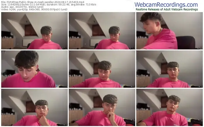 2024/08/17/flirt4free-noah-sandler-21-54-03